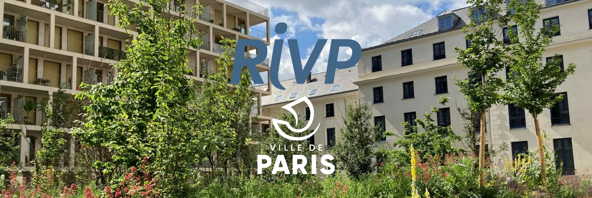 👵 Forum santé mentale des seniors et aidants